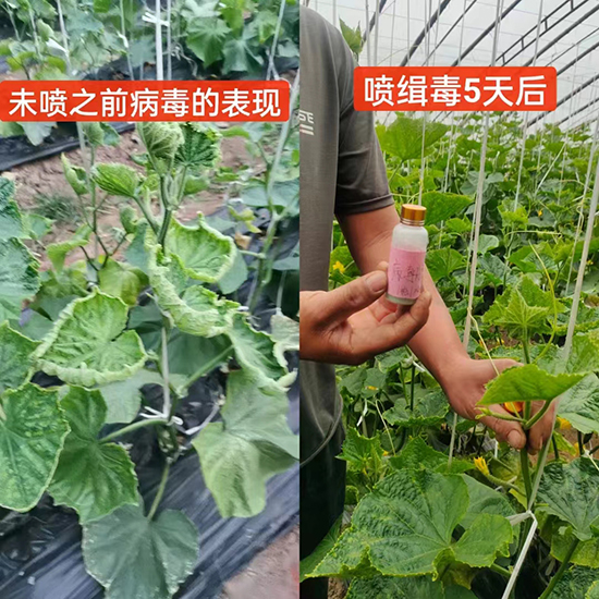 ΢��Ԫ��-�¾�����-꿾����F2