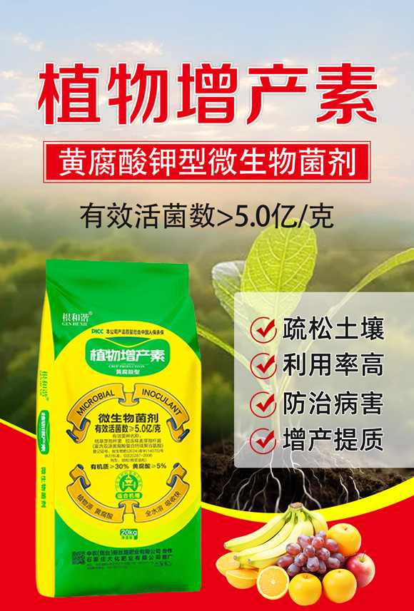 �S������ֲ�����a��-�����C-�󻯷ʘI(y��)_01