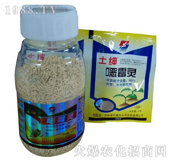 80%�fù�`-����-�L(zh��ng)�p