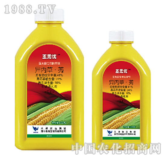 41%������ݬ-��o�n-���{