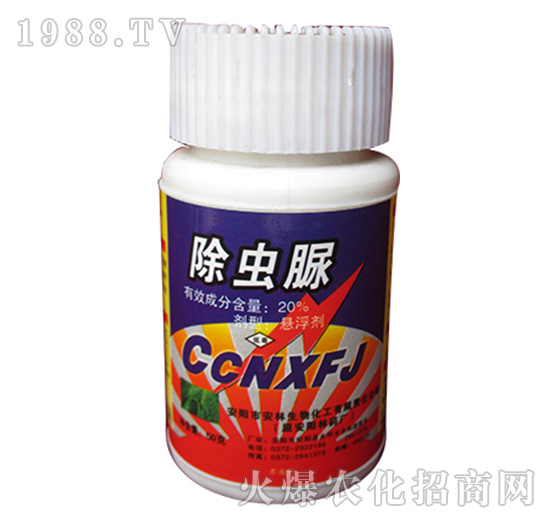 20%���x��-����