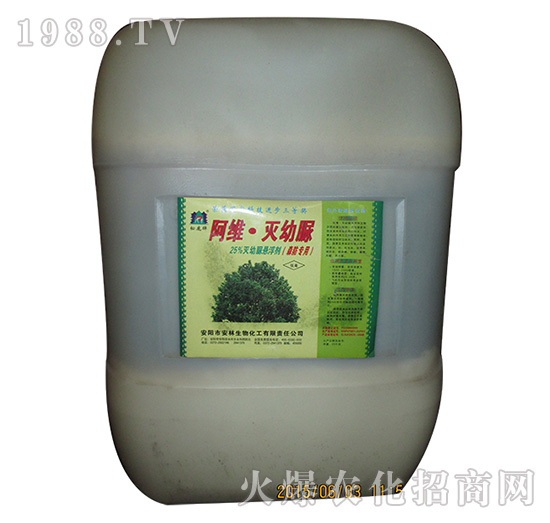 25%���S������-����