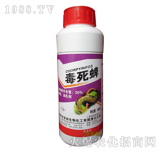 20%���������鄩-����