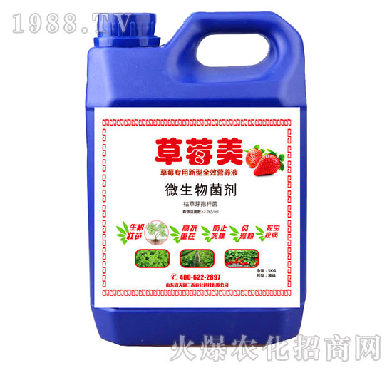 ��ݮ��-��ݮ����΢�������-�읙����