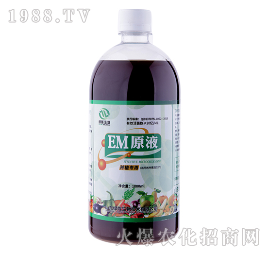 EMԭҺ-�G�]����