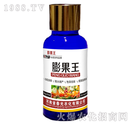 �Ϲ����-�����-�����r��