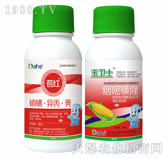 ���t+���l(w��i)ʿ-�hҊ�r(n��ng)�I(y��)