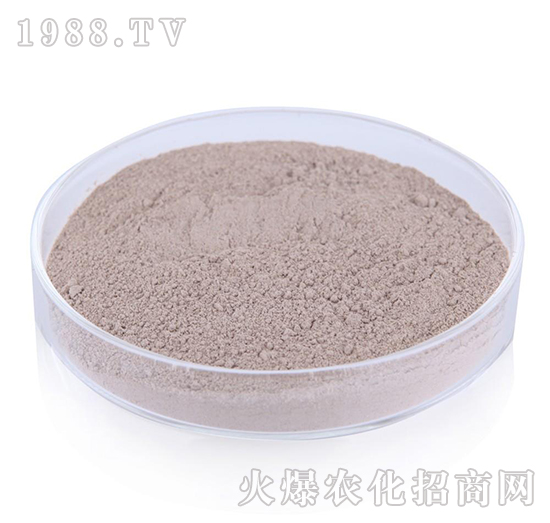 �ͺ�ѿ�ߗU��-�G�]����