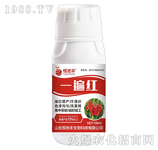 һ��t-�����S