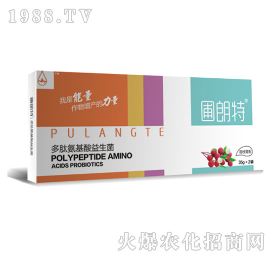 ��֦����-���İ�����������-������