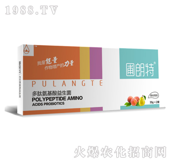 ����(sh��)����-���İ�����������-������