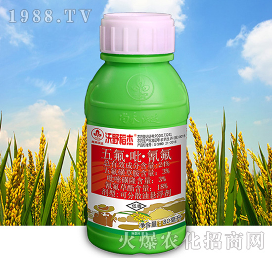 24%������������-��Ұ����-�к����_