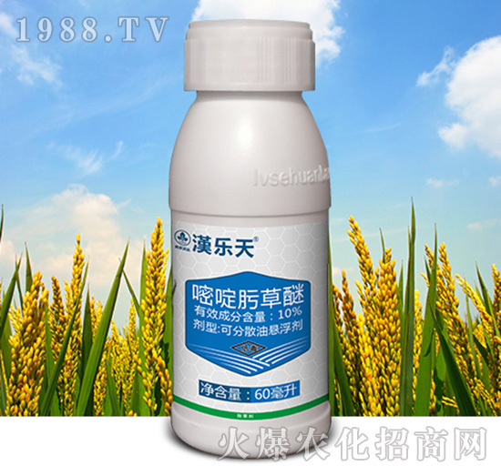 10%���뿲���-�h����-�к����_