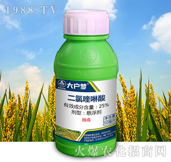 25%���������-����-�к����_(d��)