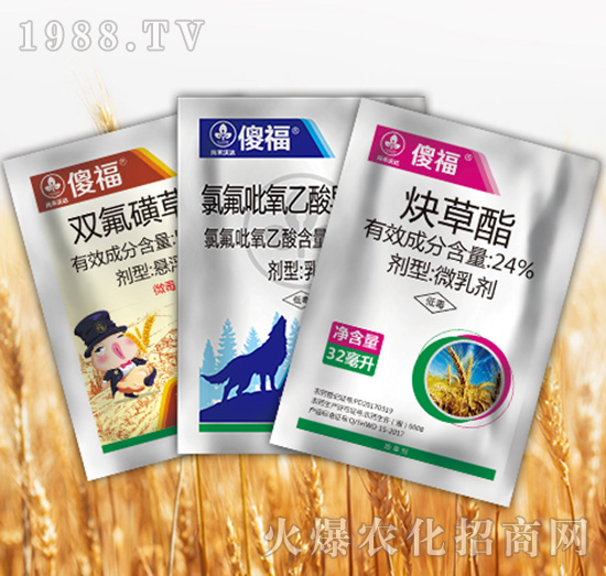 ɵ���M��-�к����_(d��)