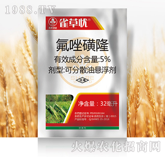 5%�����¡-ȸ�ݑn-�к����_