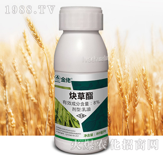 8%Ȳ����-����-�к����_