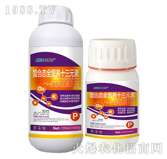 ���ϑB(t��i)ȫ�I�B(y��ng)ʮ��Ԫ��-�����r