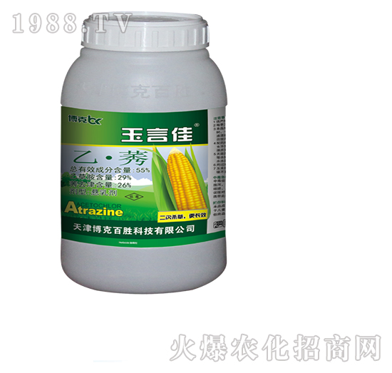 55%�ҡ�ݬ��+������-���˰ل�