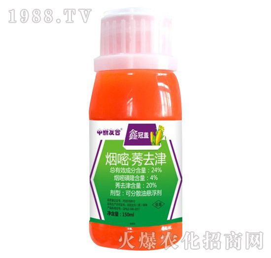 24%���ס�ݬȥ��-�ι��w-�����Ѻ�