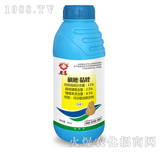 11%���ס����-���R-�����r(n��ng)�I(y��)