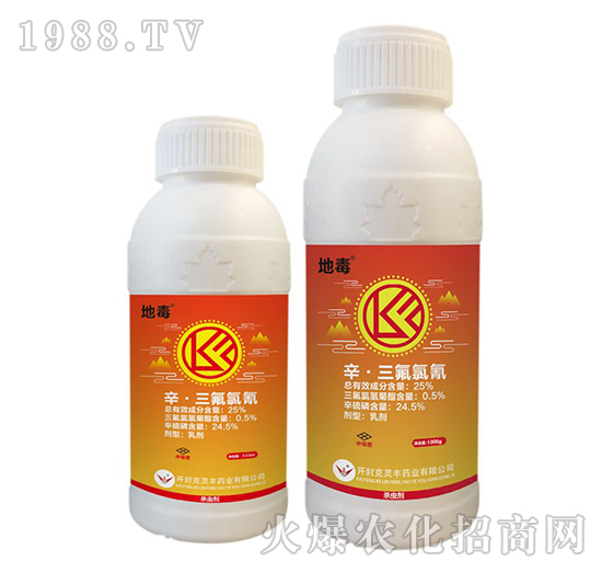 25%������������-�ض�-���`�S