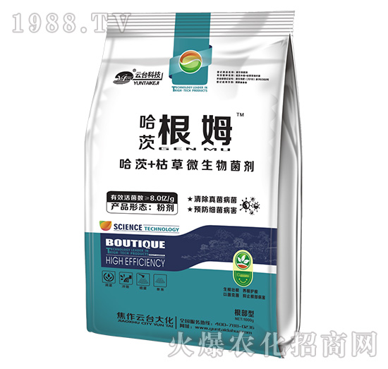 ���ĸ�ķ-���_��