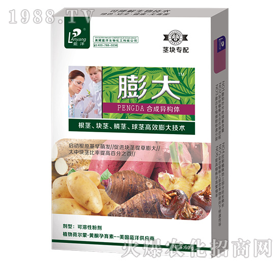 �o�K�������-���_��