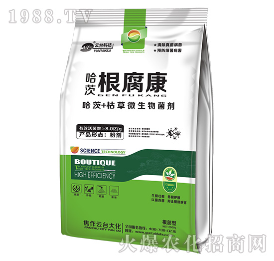 ���ĸ�����-���_��