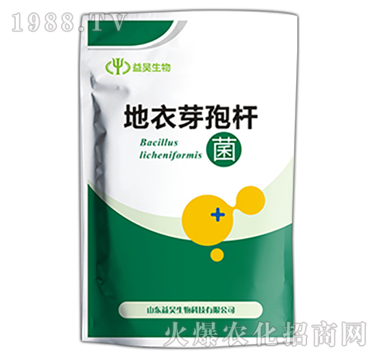 ����ѿ�ߗU��-�������