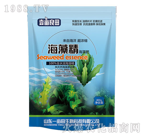 ���徫�����-Ҽ������