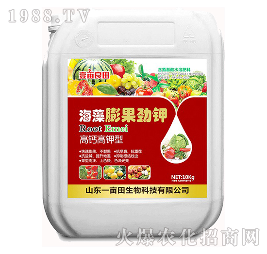 ���}�����-����������-Ҽ������