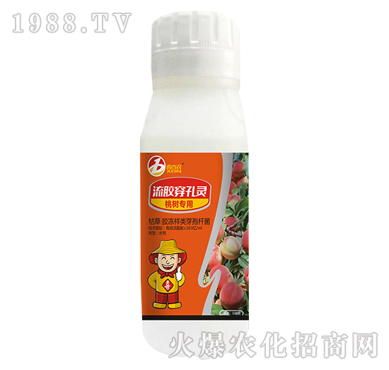 �Ҙ䌣�����z�����`-ϲ���r-ϲ�m��