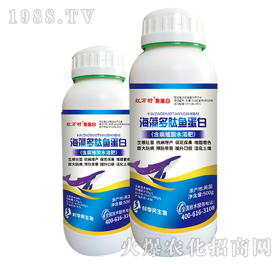 ��������~����-���˹����r(n��ng)��