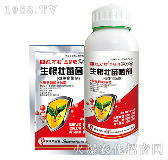 �۹Ȱ���΢�������-�����-���˹����r(n��ng)��