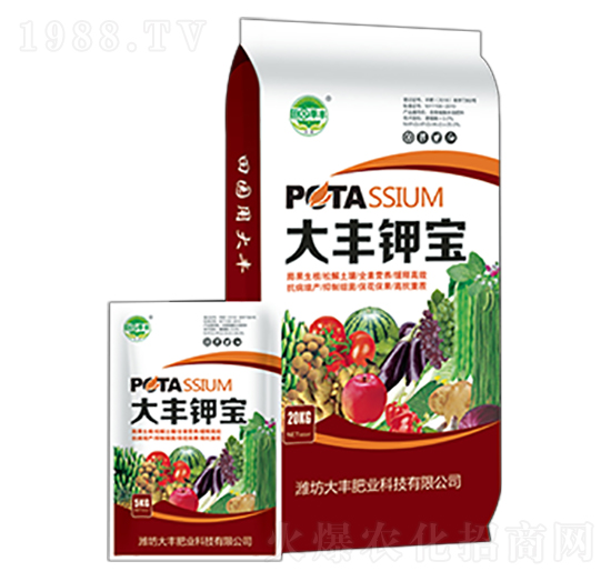 ���S⛌�-��@���S-���S�ʘI(y��)