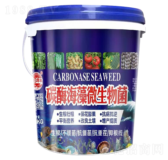 ̼������΢�����-��@���S-���S�ʘI(y��)