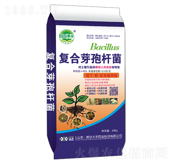 ��(f��)��ѿ�ߗU��-��@���S-���S�ʘI(y��)