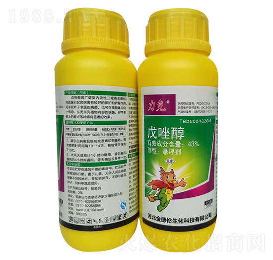 43%����-����-���