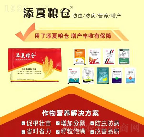 ����I(y��ng)�B(y��ng)��Q����-���ļZ�}(c��ng)-�S�՘�(l��)