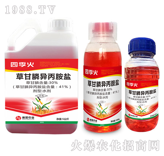 41%�ݸ�좮������}-�ļ���-���