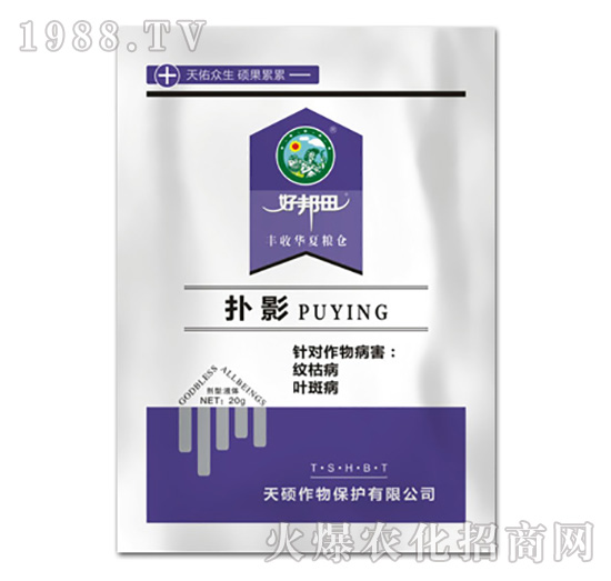 ��Ӱ-��T����