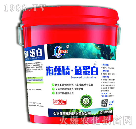 ���徫���~����-�S�T�ʘI(y��)