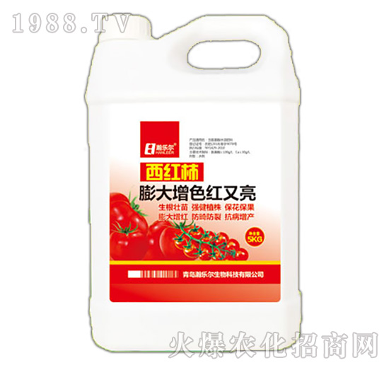 ���t�������ɫ�t����-嫘���