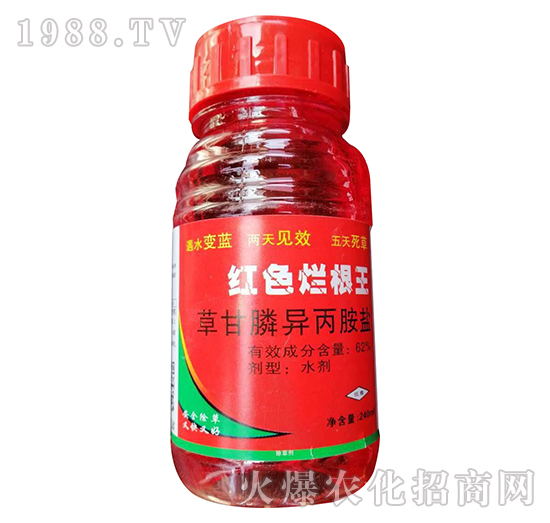 62%�ݸ�좮������}-�tɫ������-�W�ρ�