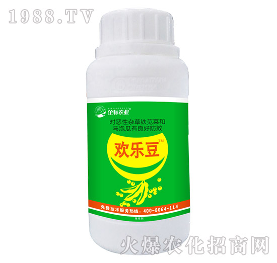 ������݄�-�g����-���