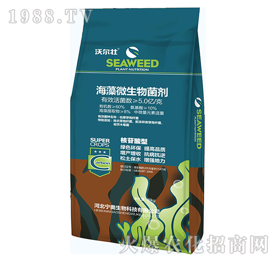 ����΢�������-�֠���-���W����