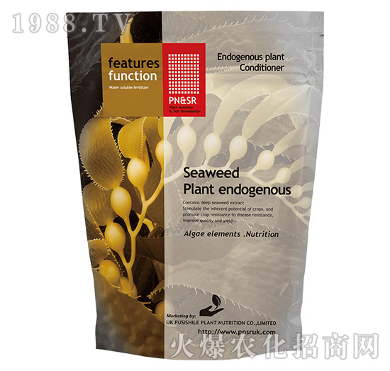 �����ˡ����������-ꖹ�G��