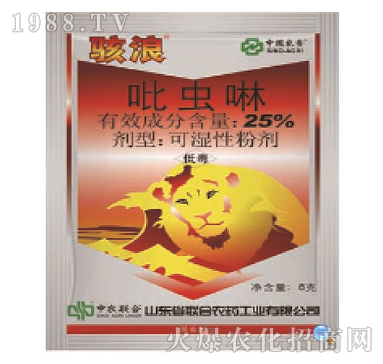 25%���x��-���-���r(li��n)��