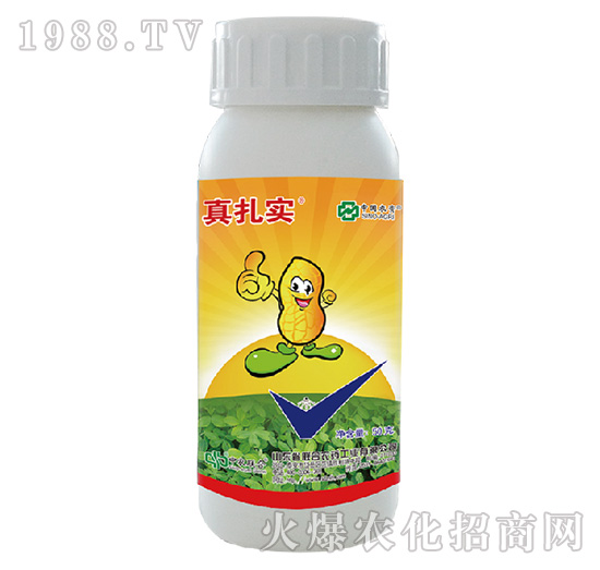 48%���x(ch��ng)�����p��-������(sh��)-���r(n��ng)(li��n)��